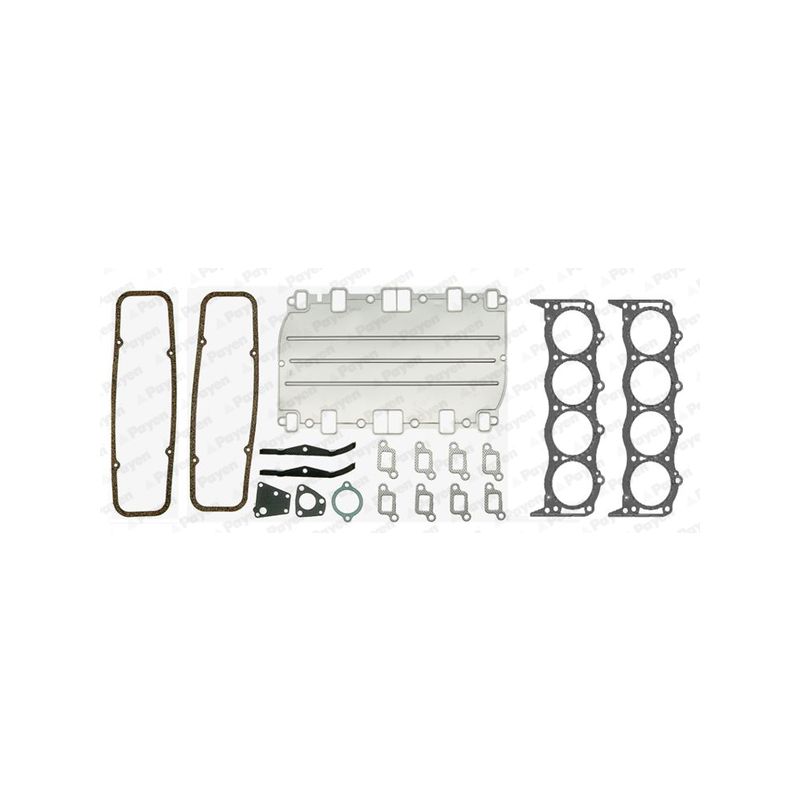 KOMPLET USZCZELEK GŁOWICY PAYEN DR290 ROVER RV 3.9-4.3 V8 89-