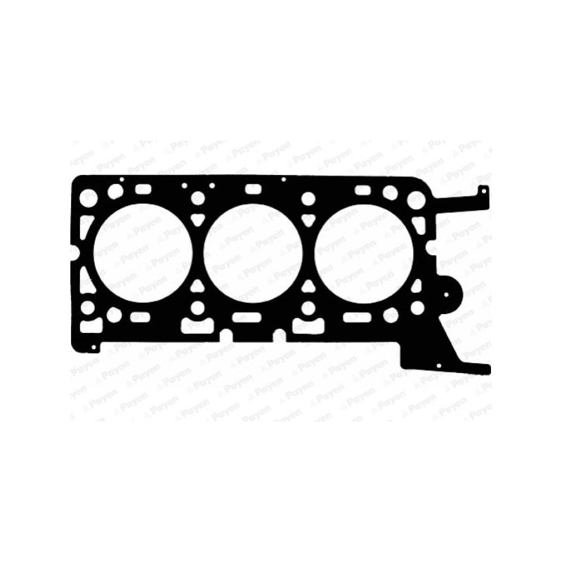 USZCZELKA GŁOWICY PAYEN AC5400 JAGUAR 3.0 01-