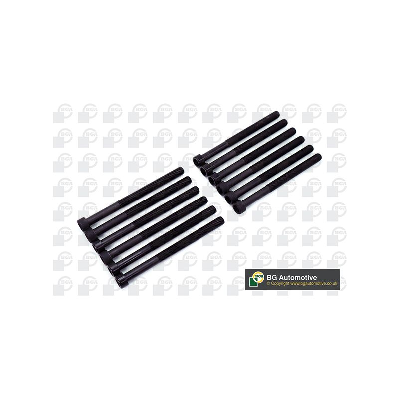 ŚRUBY GŁOWICY BGA BK3345 VW 2.5D 03-