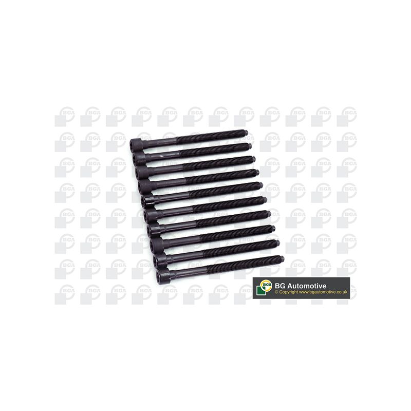 ŚRUBY GŁOWICY BGA BK3385 VW 2.0 03-