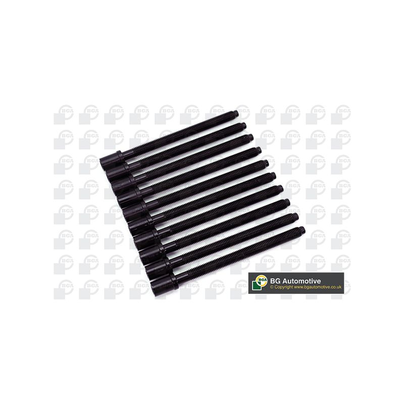 ŚRUBY GŁOWICY BGA BK3386 VW 2.0D 03-