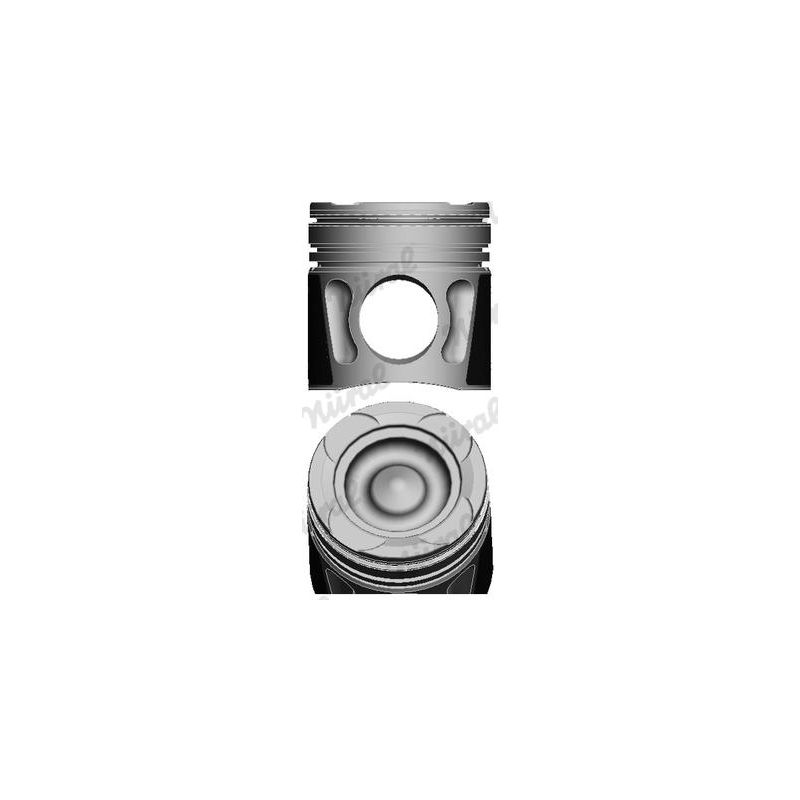 TŁOK GOETZE 8742300010 STD MAN D2066 04-