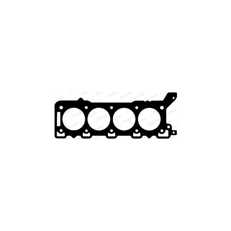 USZCZELKA GŁOWICY PAYEN AD5600 ROVER 4.4 05-