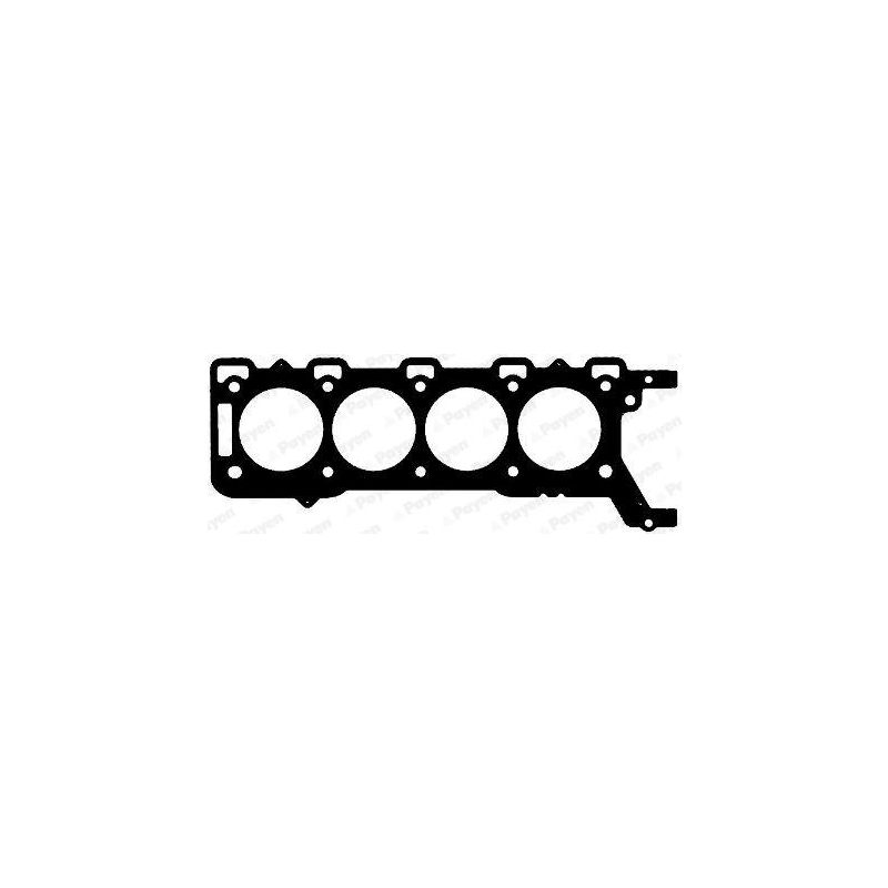 USZCZELKA GŁOWICY PAYEN AD5610 ROVER 4.4 05-