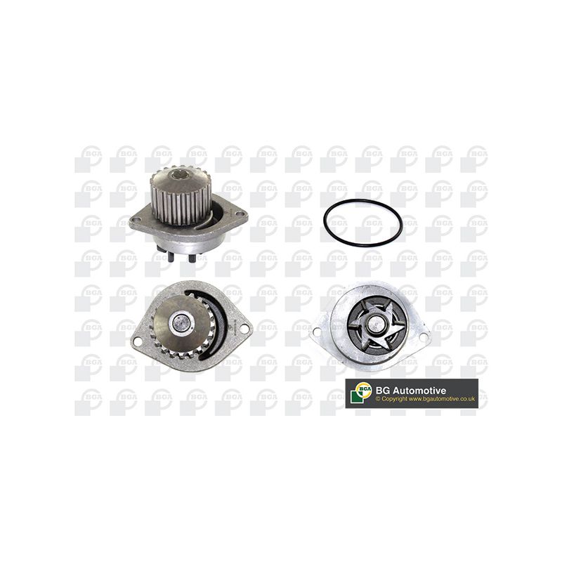 POMPA WODY BGA CP2838 PSA 0.95-1.6 106