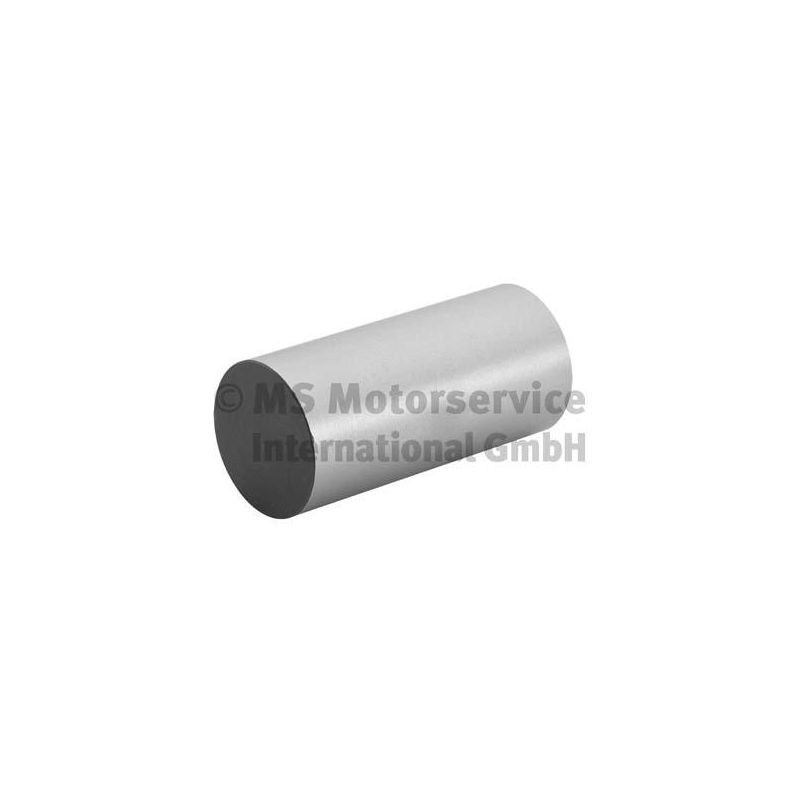 POPYCHACZ ZAWOROWY BF 20100335260 MERCEDES OM352 66-98