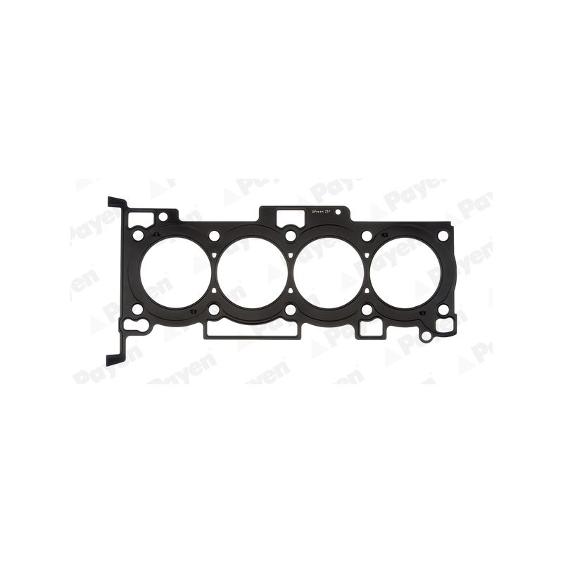 USZCZELKA GŁOWICY PAYEN AH6320 KIA 16V 2.0 07-