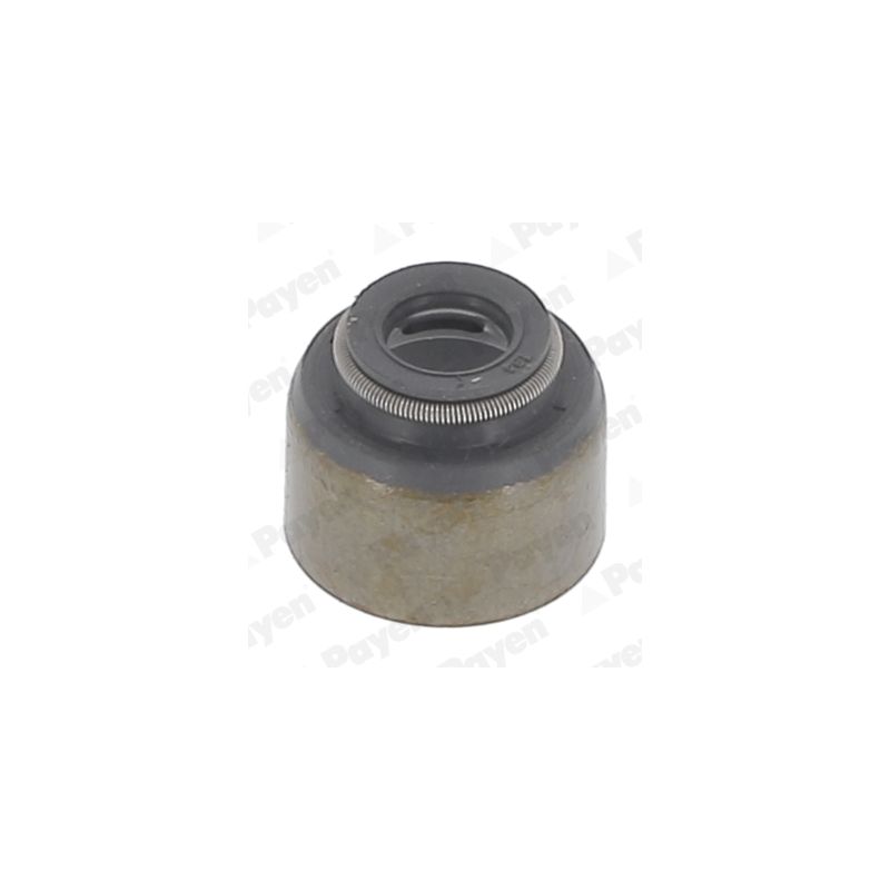 USZCZELNIACZ ZAWOROWY PAYEN PA6088<KJ570> MITSUBISHI 1.2-3.5 77-07