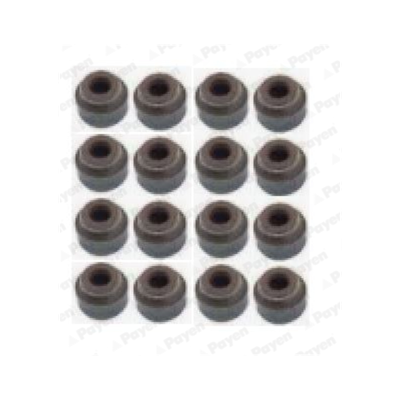 KOMPLET USZCZELNIACZY ZAWOROWYCH PAYEN HR5076 VOLVO 1.6-2.9 95-