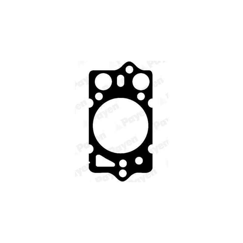 USZCZELKA GŁOWICY PAYEN BP260 ALFA ROMEO 1.8TD-2.5TD 79-98