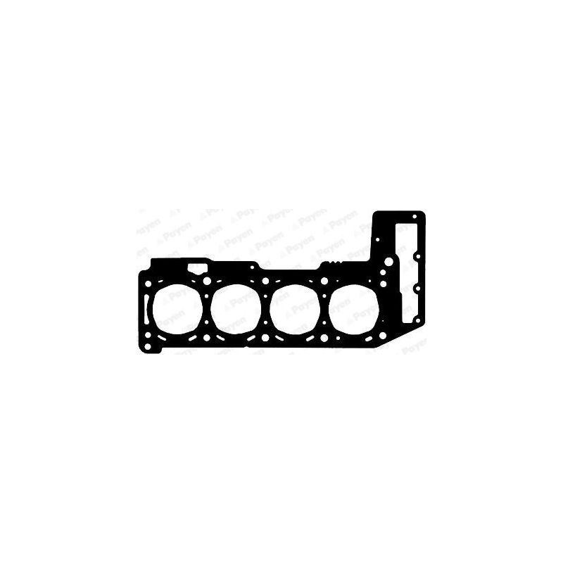 USZCZELKA GŁOWICY PAYEN AG7300 FIAT 3.0JTD 06-