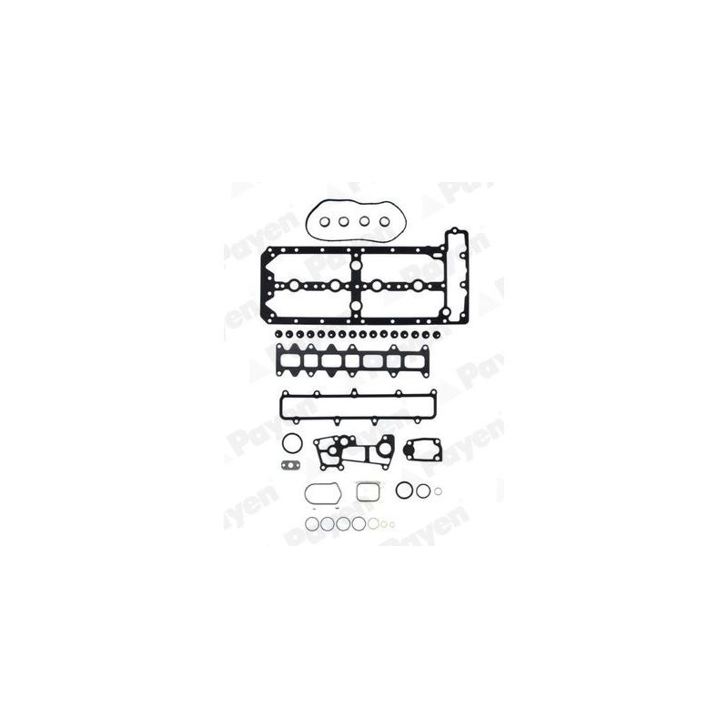 KOMPLET USZCZELEK GŁOWICY PAYEN CG7300 FIAT 3.0JTD DUCATO 06-