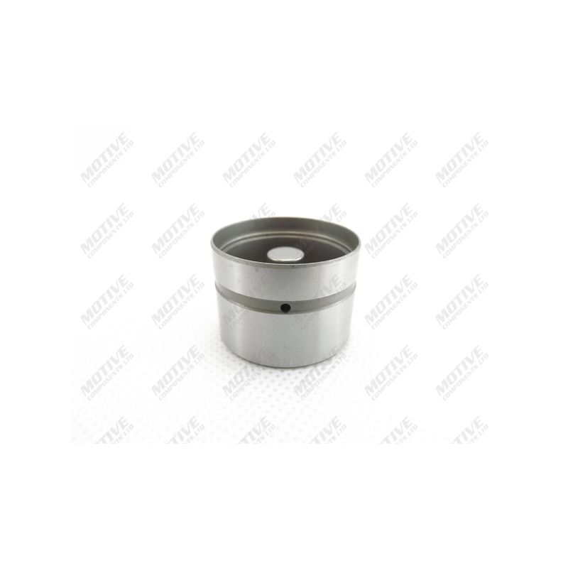 POPYCHACZ ZAWOROWY SWAG 38923201 KIA 2.5V6 99-