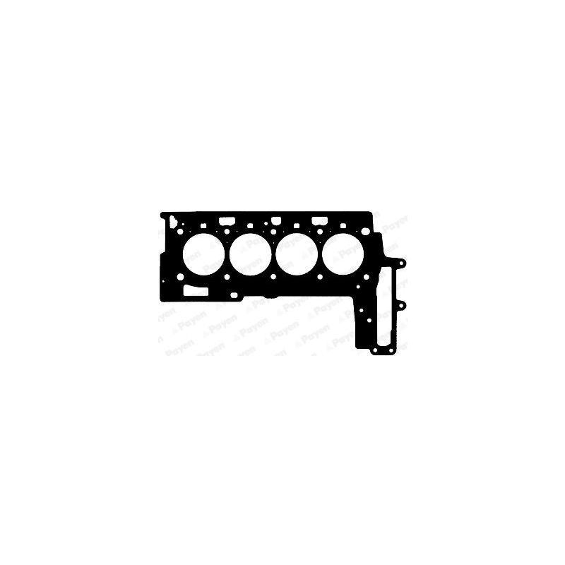 USZCZELKA GŁOWICY PAYEN AG5010 BMW 2.0D 16V 06-