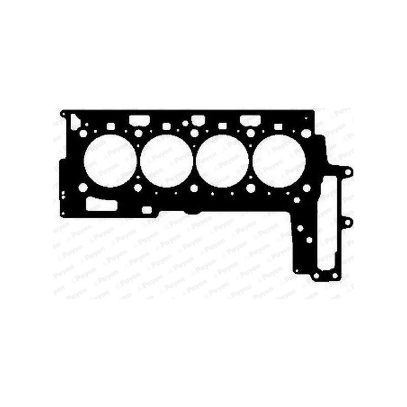 USZCZELKA GŁOWICY PAYEN AG5020 BMW 2.0D 06-