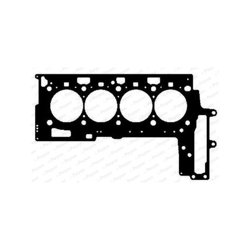 USZCZELKA GŁOWICY PAYEN AG5030 BMW 2.0D 06-