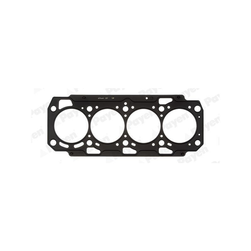 USZCZELKA GŁOWICY PAYEN AH7380 FIAT 16V 2.0JTD 08-
