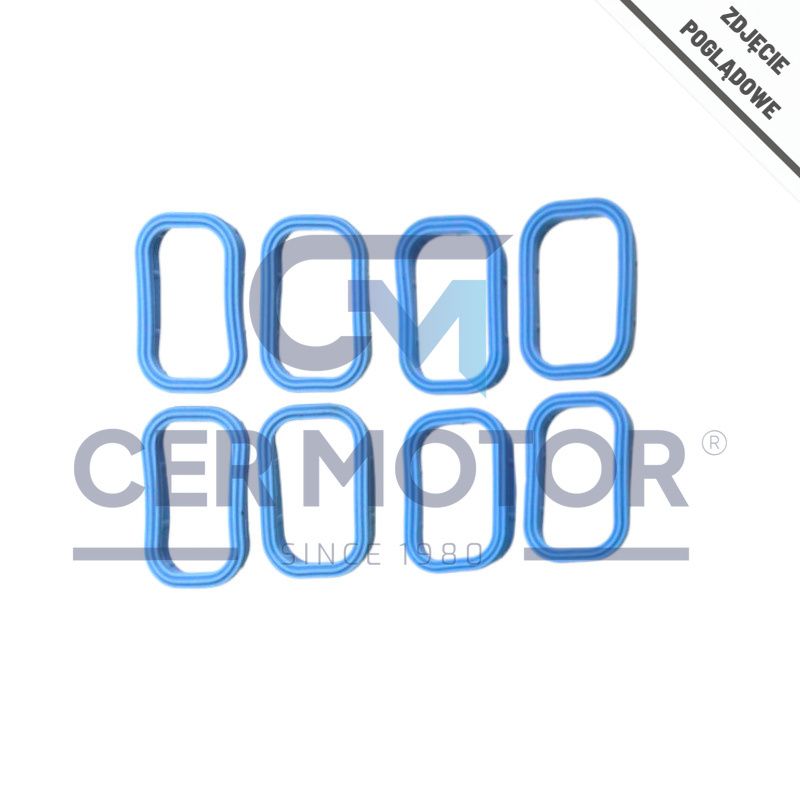 KOMPLET USZCZELEK KOLEKTORA SSĄCEGO MV PARTS H3021P FIAT DUCATO 2.5D