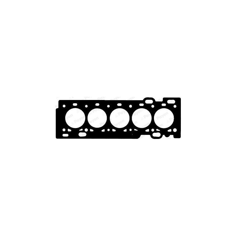 USZCZELKA GŁOWICY PAYEN AG8320 FORD 20V 2.5T 05-