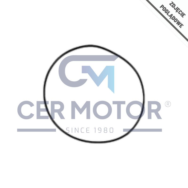 O-RING OE 99459175 IVECO F2BE0681 98-
