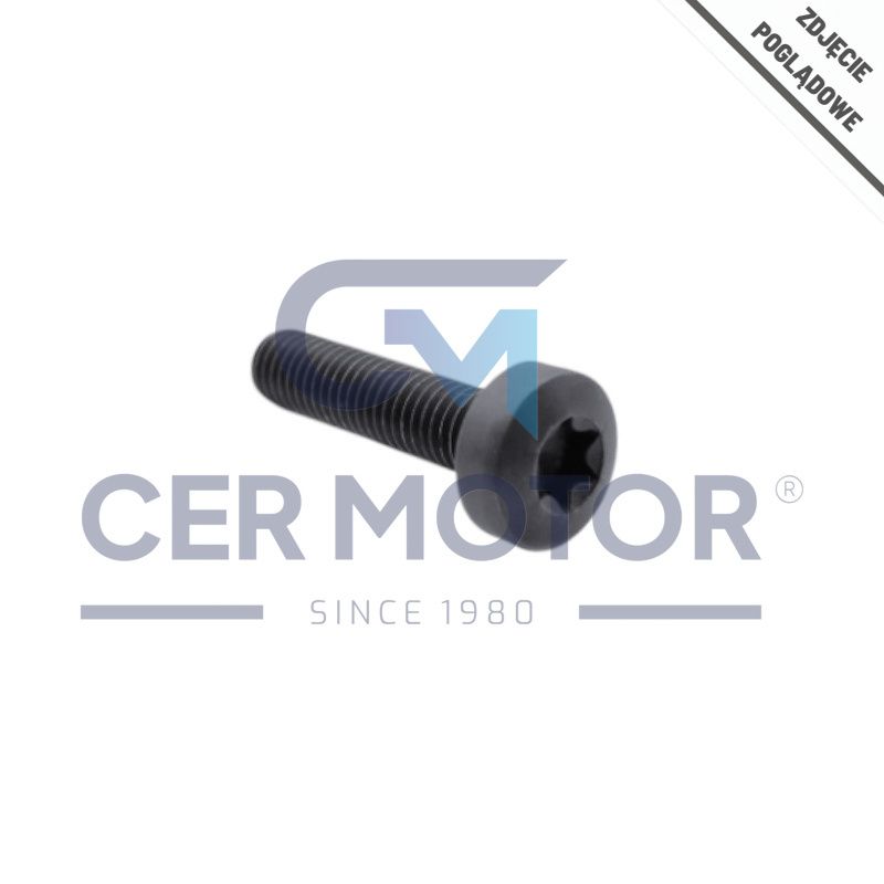 ŚRUBA KOŁA POMPY OLEJU OE 11417823426 BMW 2.0D-3.0D 07-