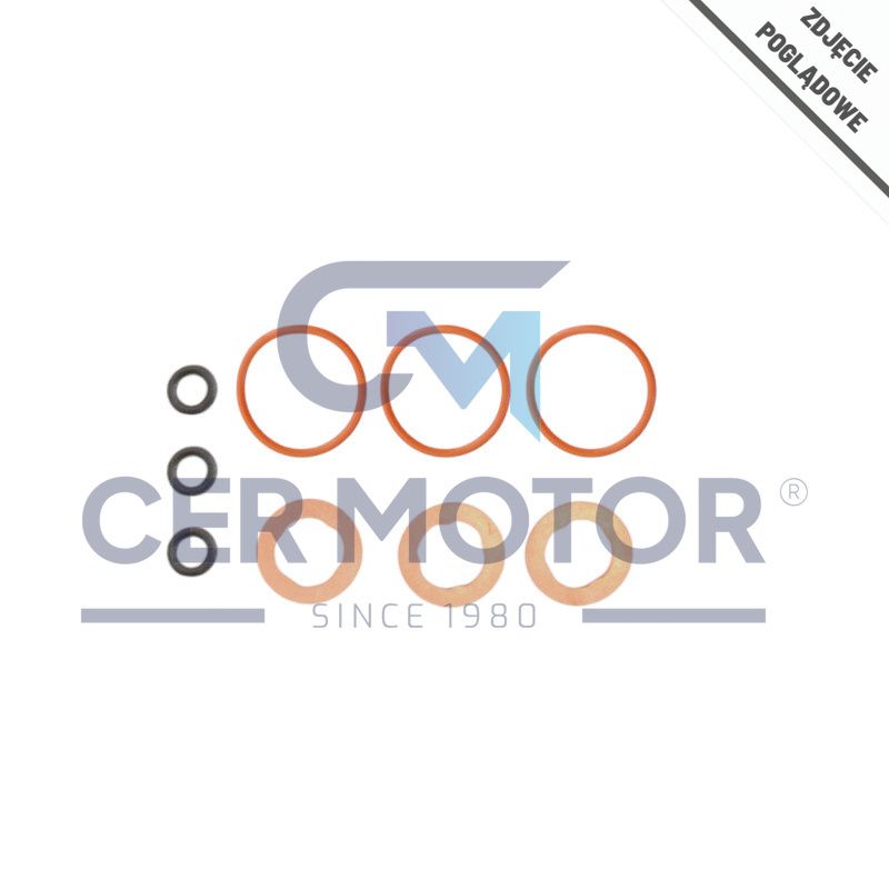 KOMPLET USZCZELEK WTRYSKIWACZA LE 28070.45 . SCA 8.8-12 04-
