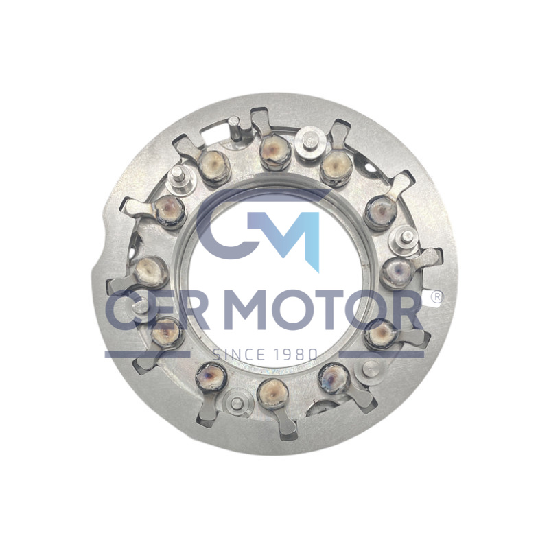 ZMIENNA GEOMETRIA TS A6029 CT16V