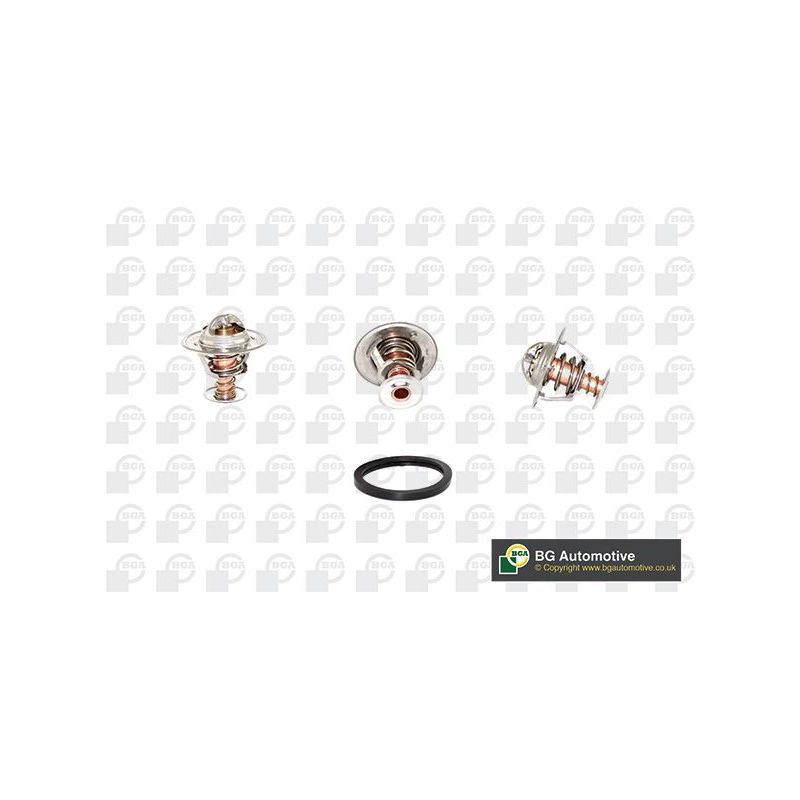 TERMOSTAT BGA CT5396K PSA 1.8-2.2 91-