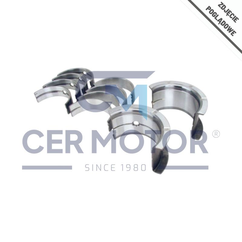 PANEWKI GŁÓWNE MV PARTS M8019 0.40 KUBOTA V2203  -  PEŁNA