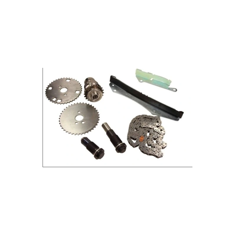 ZESTAW ROZRZĄDU ŁAŃCUCHOWEGO OE 5802009617 FIAT 3.0 06-