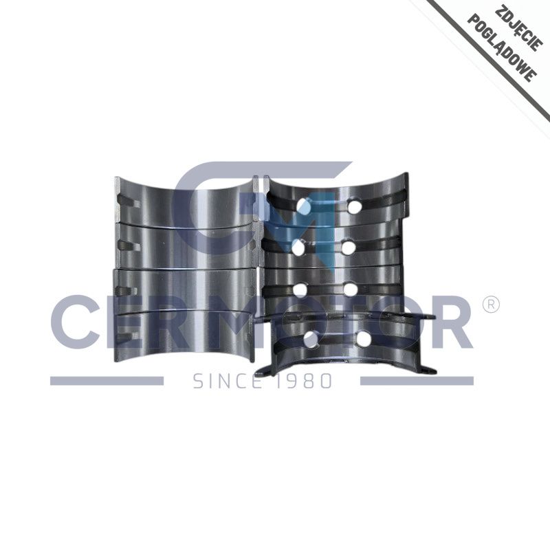 PANEWKI KORBOWODOWE SM 435019-253 0.25 VW 1.2  01- 