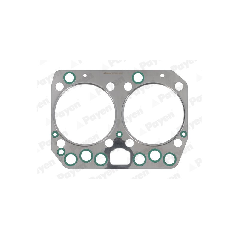 USZCZELKA GŁOWICY PAYEN BV500 MAN D0824 95-