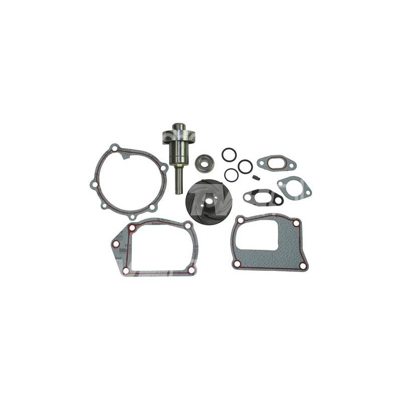 ZESTAW NAPRAWCZY POMPY WODY BEPCO 23/131-76 ZESTAW NAPRAWCZY IVECO 8055.05