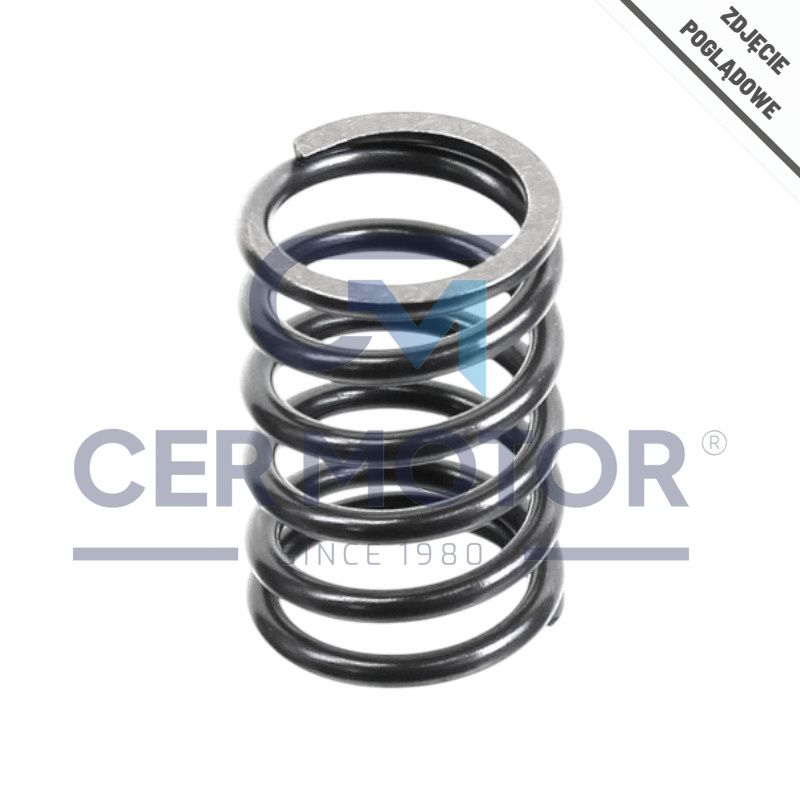 SPRĘŻYNA ZAWOROWA OE GERMANY 020523080000 MAN D0834 -