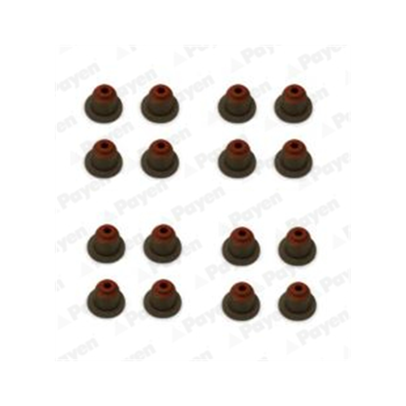 KOMPLET USZCZELNIACZY ZAWOROWYCH PAYEN HR5110 BMW 2.0 06-