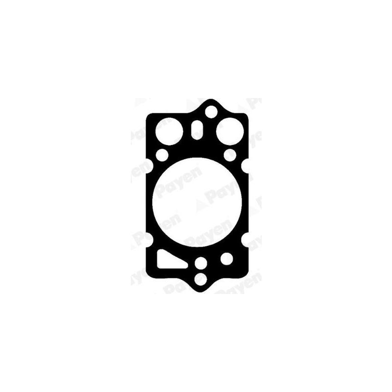 USZCZELKA GŁOWICY PAYEN BK570 ALFA ROMEO 1.8TD-2.5TD 79-98