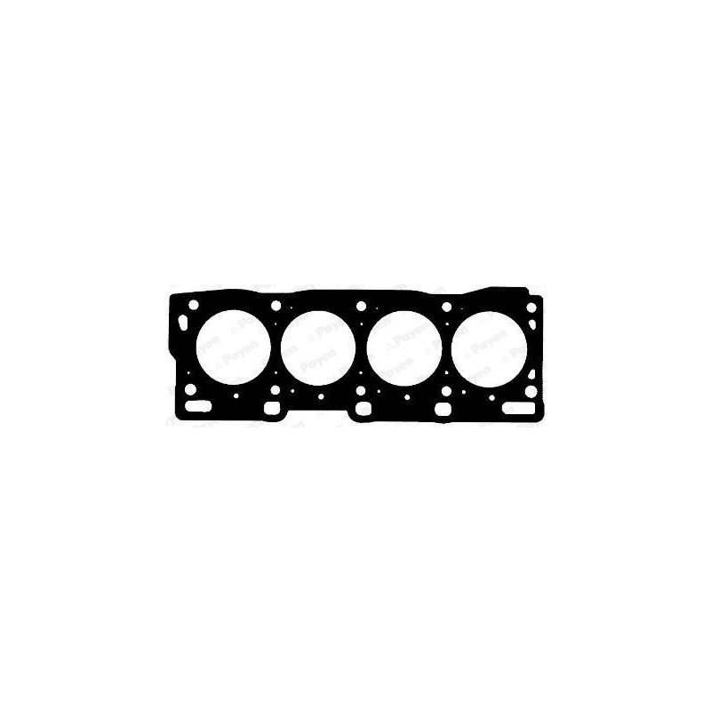 USZCZELKA GŁOWICY PAYEN AG8190 MAZDA 2.0TD 99-