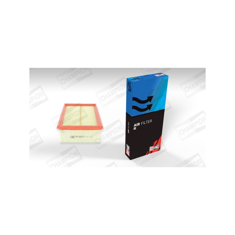 FILTR POWIETRZA CHAMPION CAF100971P PSA 2.0D 03-