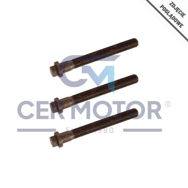 KOMPLET ŚRUB WAŁU KORBOWEGO INA 411013911 VW 2.5TDI 06-