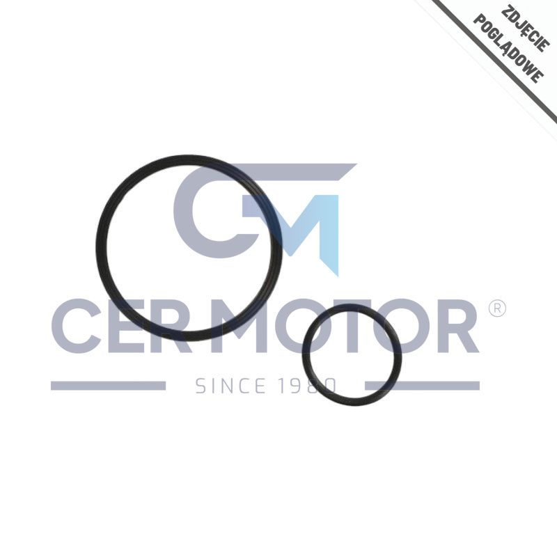 KOMPLET USZCZELEK POMPY VACUUM AJUSA 77032100 NISSAN 4.2D 13-