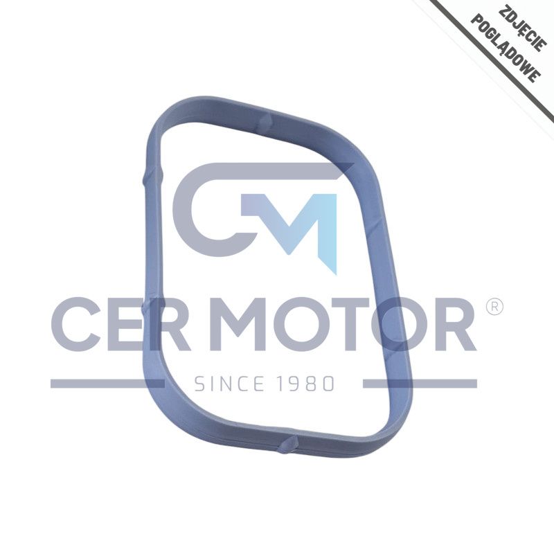 USZCZELKA KOLEKTORA SSĄCEGO AJUSA 13313900 KIA 1.6CRDI 18-