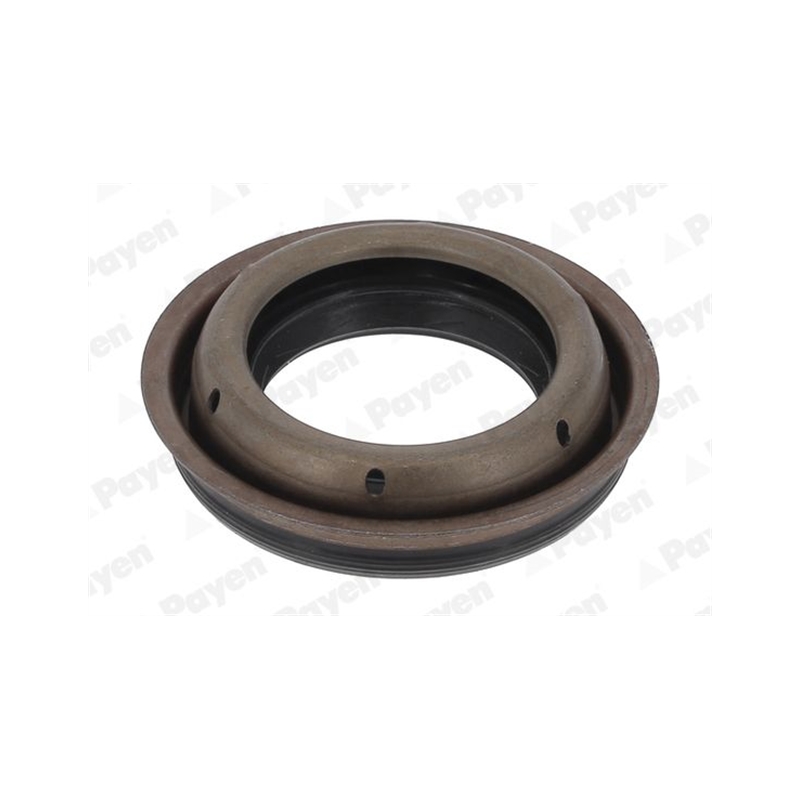 USZCZELNIACZ SKRZYNI BIEGÓW PAYEN NA5508 FIAT 1.3-2.4 97-