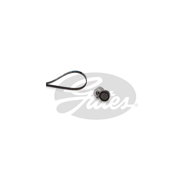 KOMPLET PASKA WIELOROWKOWEGO GATES K016PK1198 RENAULT 1.5-1.6DCI 01-18