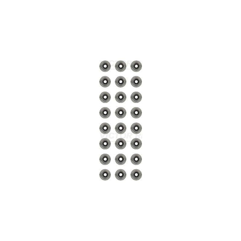 KOMPLET USZCZELNIACZY ZAWOROWYCH VICTOR REINZ 12-13246-02 ROVER 2.0-3.0D 15-