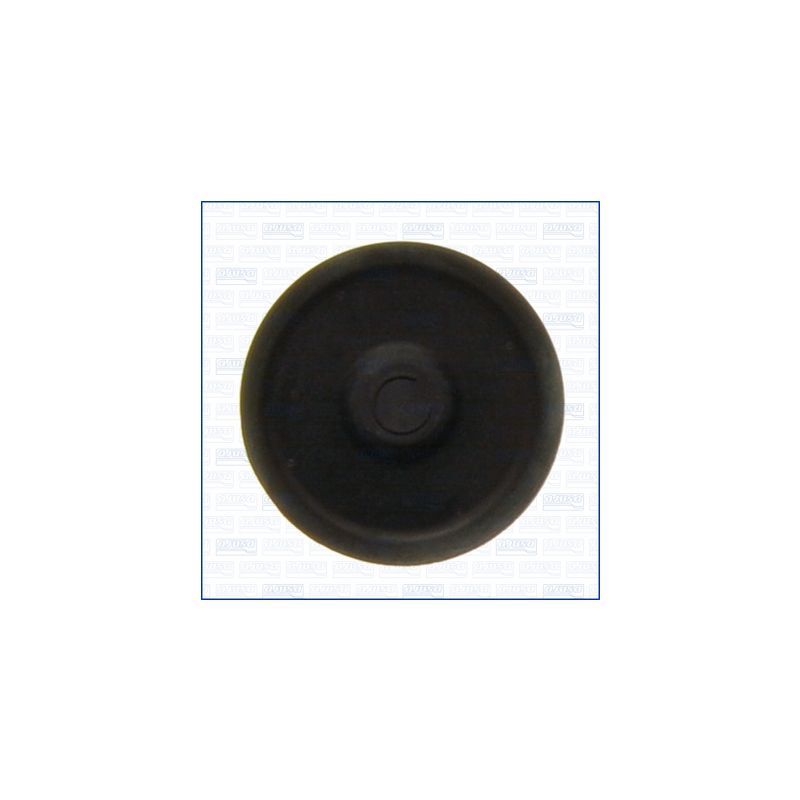 ZAŚLEPKA WAŁKA ROZRZĄDU AJUSA 01053500 ROVER 2.5TD 98-16