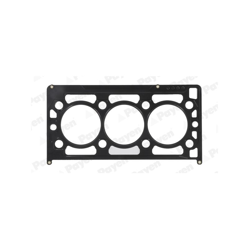 USZCZELKA GŁOWICY PAYEN AA5920 ROVER 2.5 98-