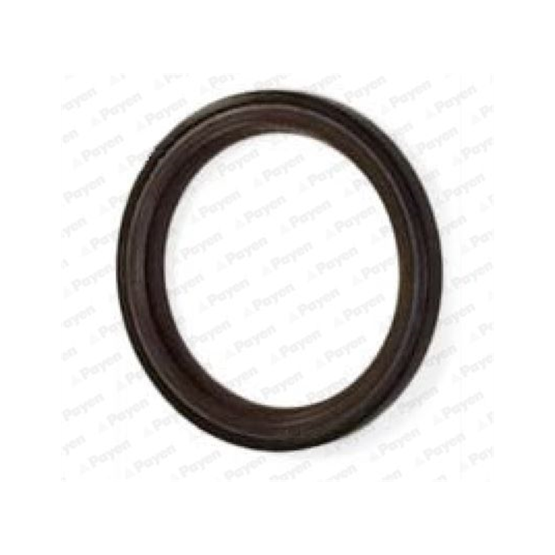 USZCZELNIACZ WAŁKA SIMMERING PAYEN NA5317 VOLVO 2.0-2.4D 01-