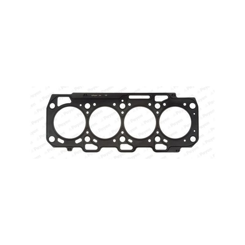 USZCZELKA GŁOWICY PAYEN AH6880 FIAT 16V 1.6JTD 03-