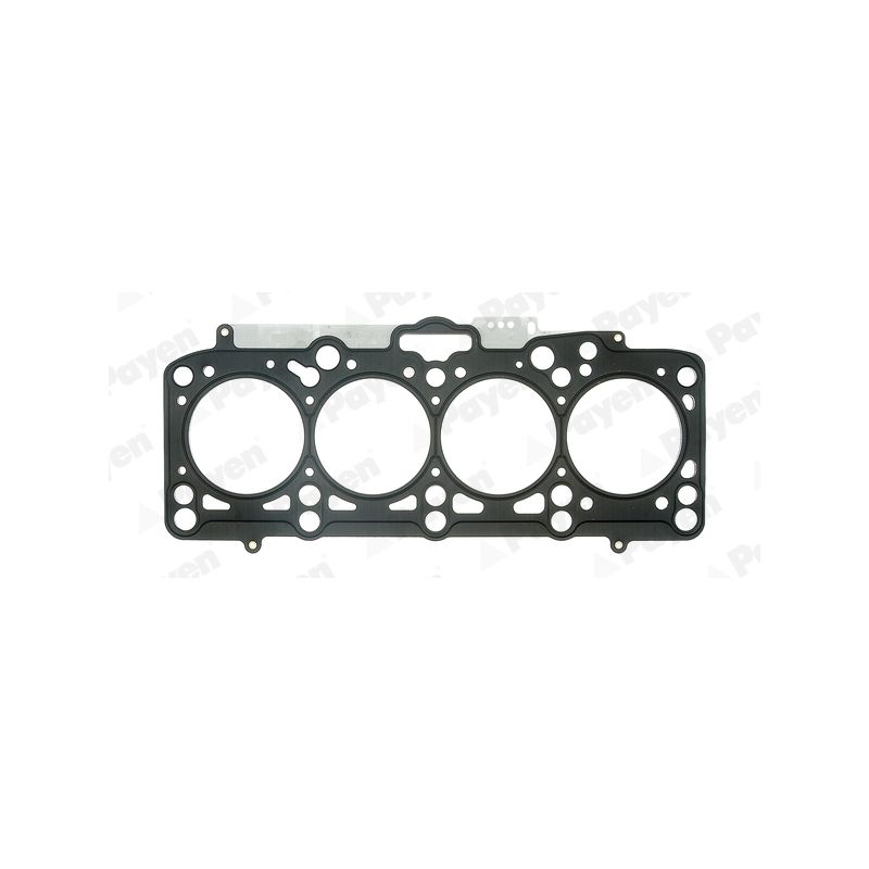 USZCZELKA GŁOWICY PAYEN BZ060 VW 1.9D 95-12