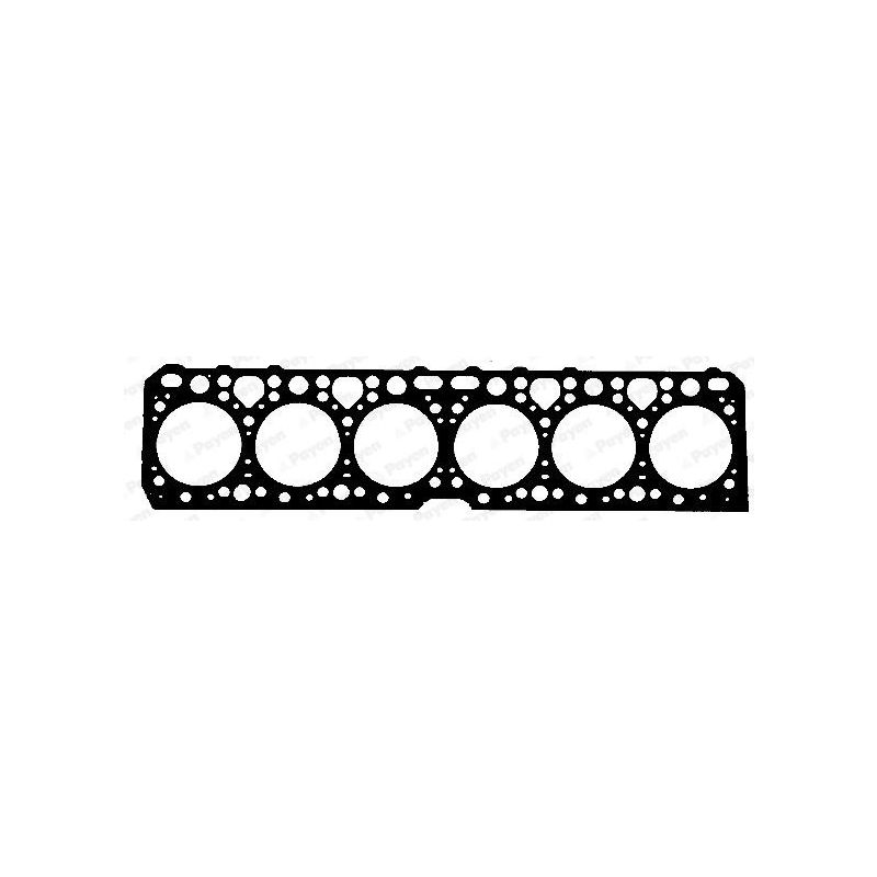 USZCZELKA GŁOWICY PAYEN BG070 MAN D2146 -
